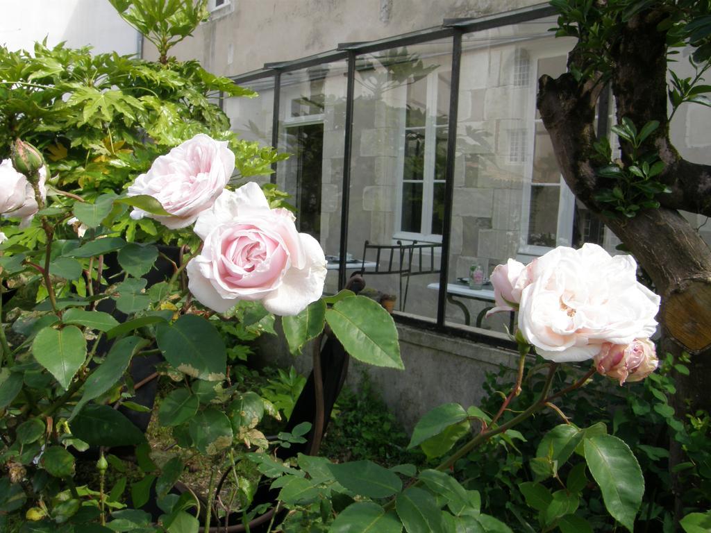 La Maison Douce Saint-Martin-de-Ré Εξωτερικό φωτογραφία